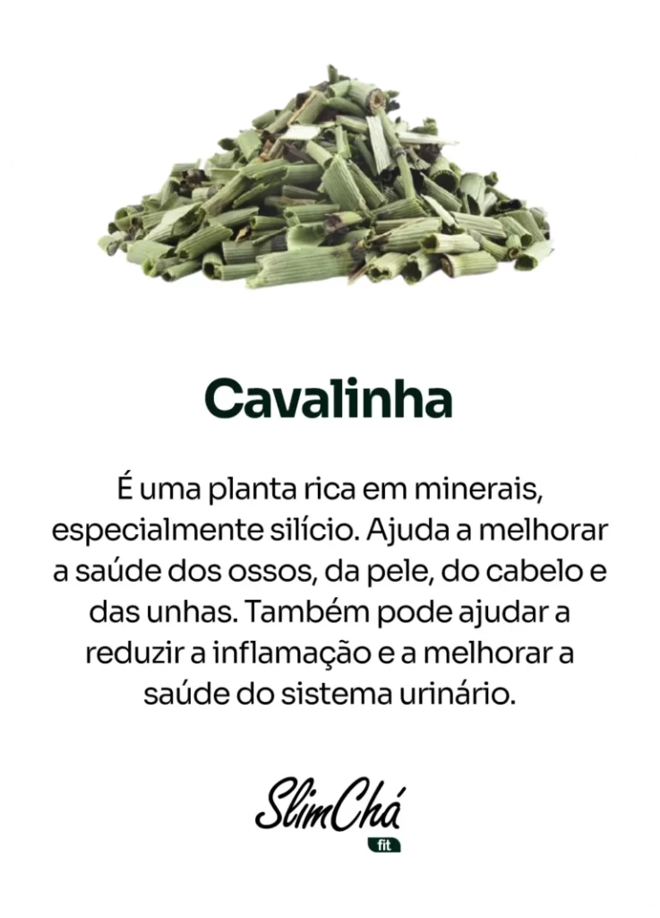 Cavalinha-768x1067