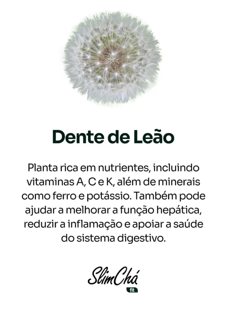 Dente-de-Leao-768x1067